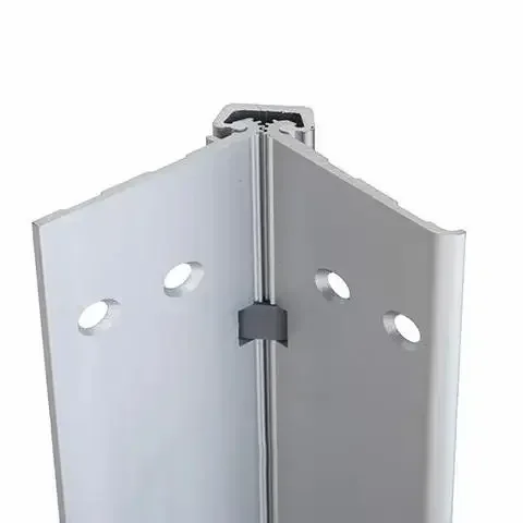 Acciaio inossidabile resistent - Piano Hinge Continuous recensione e prezzo
