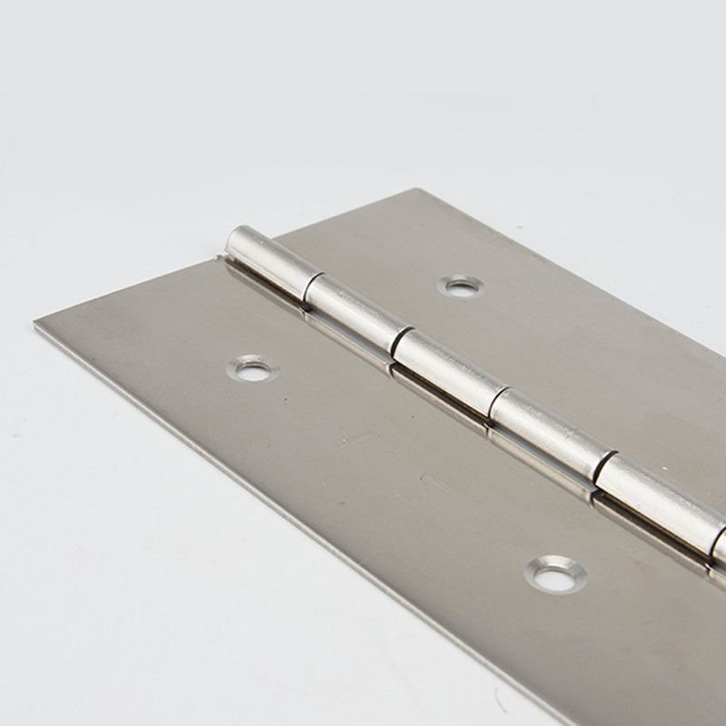 Cerniere a pianoforte da 6-20  - Piano Hinge Continuous recensione e prezzo